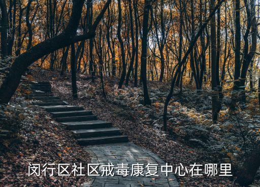 上海市滬閔路3210號 3211號，上海精神分裂醫院在哪