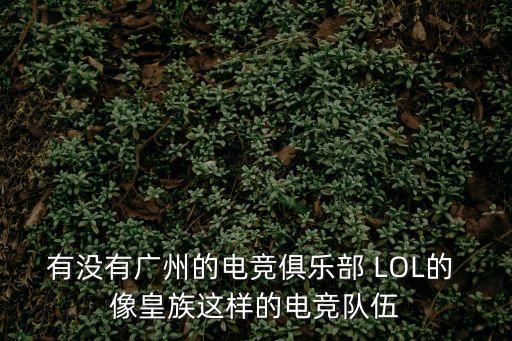有沒(méi)有廣州的電競(jìng)俱樂(lè)部 LOL的 像皇族這樣的電競(jìng)隊(duì)伍