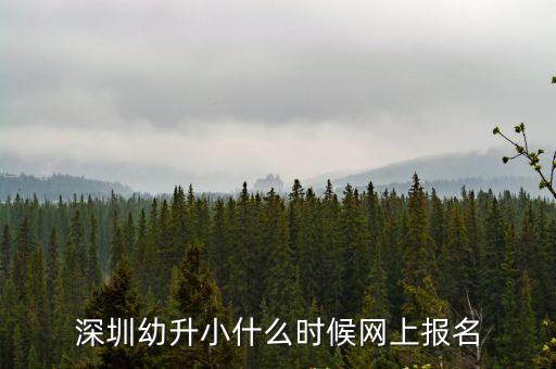 深圳幼升小什么時候網上報名