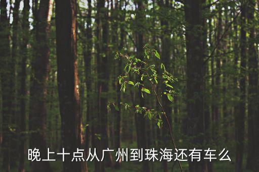 廣州到珠海晚上有車嗎，晚上十點從廣州到珠海還有車么
