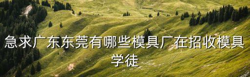 東莞市茶山展華模具加工廠，東莞市水霖學(xué)校附近工廠有哪些