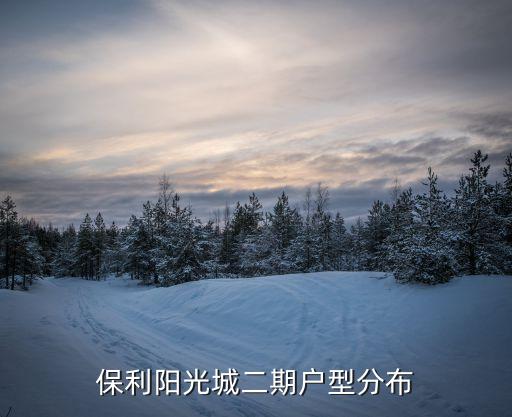 深圳保利陽光城是屬于什么區(qū)，深圳有多少個區(qū)分別是什么區(qū)