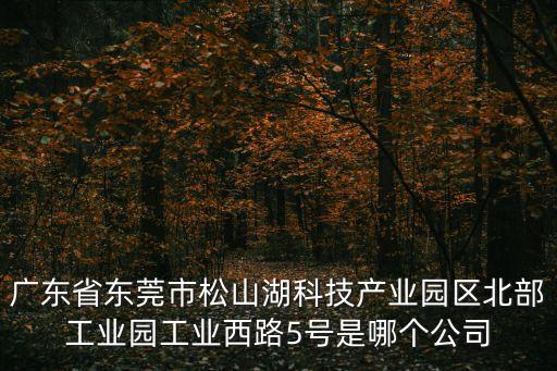 廣東省東莞市松山湖科技產(chǎn)業(yè)園區(qū)北部工業(yè)園工業(yè)西路5號(hào)是哪個(gè)公司