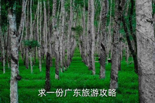 求一份廣東旅游攻略