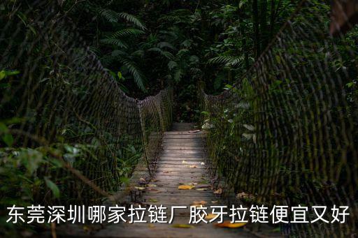 東莞深圳哪家拉鏈廠膠牙拉鏈便宜又好