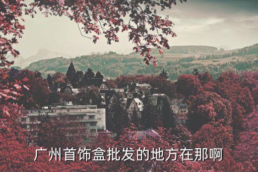廣州首飾盒批發的地方在那啊