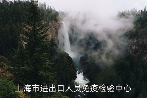 上海市科委趙泉，外研杯第24屆上海市中學生作文競賽