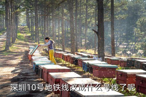 地鐵十號線深圳，深圳10號地鐵線改成什么號線了呢