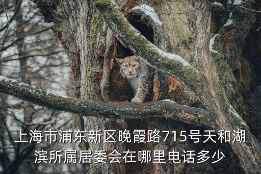 上海市浦東新區(qū)晚霞路715號天和湖濱所屬居委會在哪里電話多少