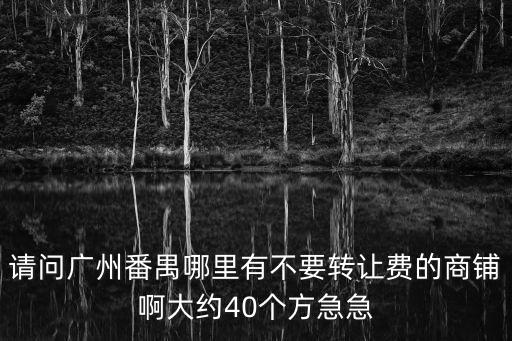 請問廣州番禺哪里有不要轉讓費的商鋪啊大約40個方急急