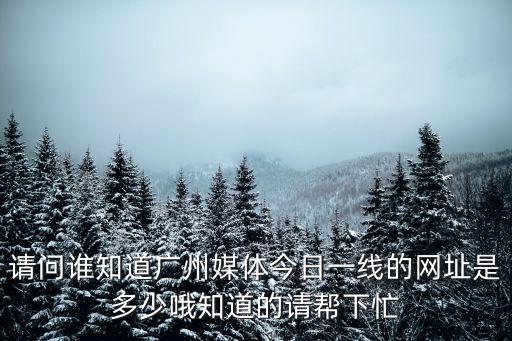 請問誰知道廣州媒體今日一線的網址是多少哦知道的請幫下忙