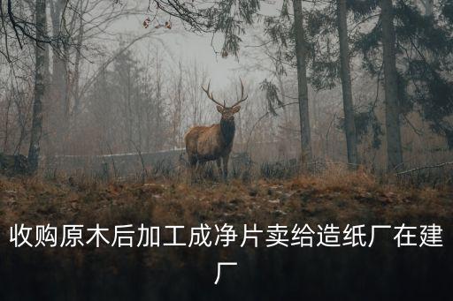 收購原木后加工成凈片賣給造紙廠在建廠
