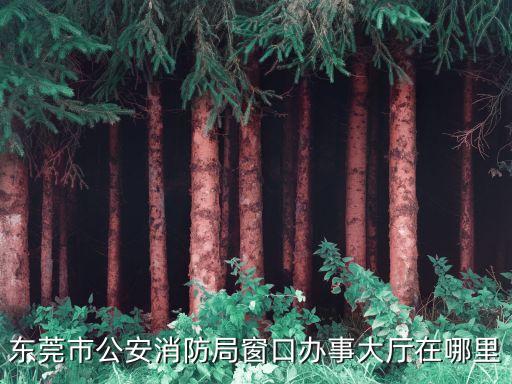 今年東莞市有沒有招聘消防員，當消防員要具備什么條件消防員的招聘途徑是什么