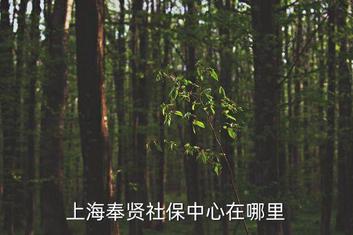 上海市奉賢區平安鎮社保中心地址，上海奉賢社保中心在哪里