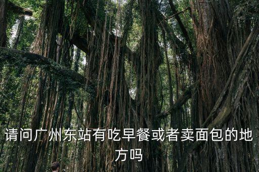 請(qǐng)問(wèn)廣州東站有吃早餐或者賣(mài)面包的地方嗎