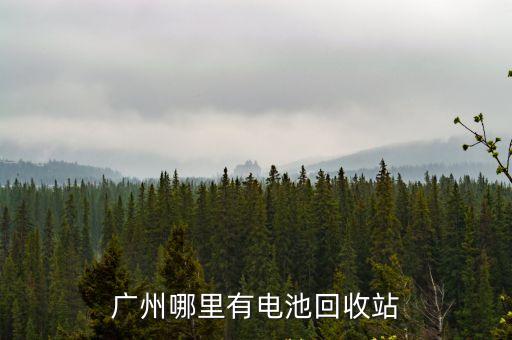 廣州哪里有電池回收站