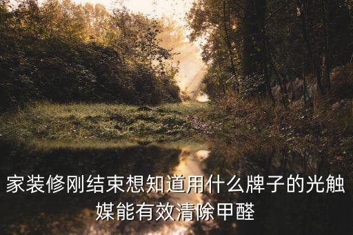 家裝修剛結束想知道用什么牌子的光觸媒能有效清除甲醛