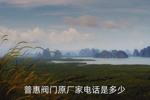 普惠閥門原廠家電話是多少