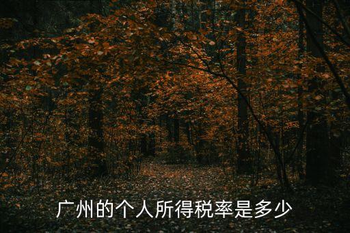 廣州的個人所得稅率是多少