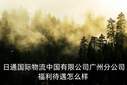 日通國際物流中國有限公司廣州分公司福利待遇怎么樣