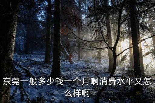 東莞一般多少錢一個月啊消費水平又怎么樣啊