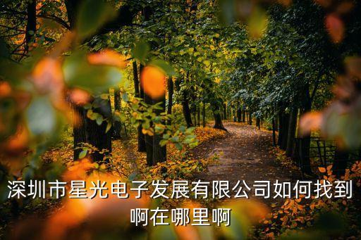 深圳市星光電子發(fā)展有限公司如何找到啊在哪里啊
