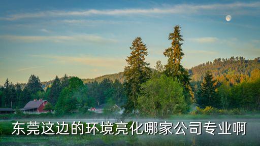 東莞這邊的環境亮化哪家公司專業啊