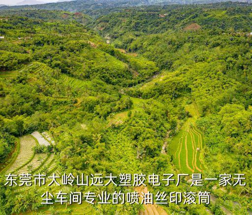 東莞透明色實心tpu繩，東莞藝贏織帶有限公司真是一間很不錯的公司產(chǎn)品質(zhì)量可靠服務(wù)