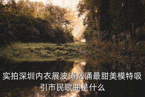 實拍深圳內(nèi)衣展波濤洶涌最甜美模特吸引市民歌曲是什么