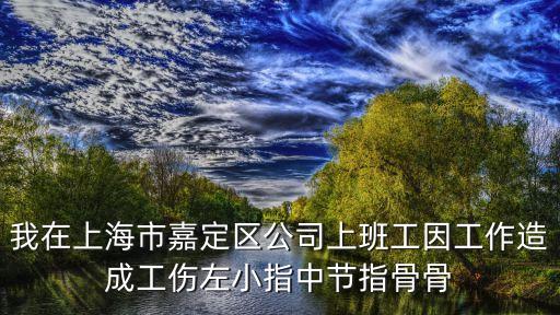 我在上海市嘉定區公司上班工因工作造成工傷左小指中節指骨骨