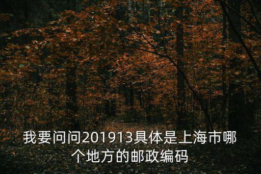 我要問問201913具體是上海市哪個地方的郵政編碼