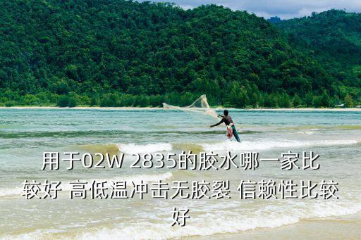 用于02W 2835的膠水哪一家比較好 高低溫沖擊無膠裂 信賴性比較好