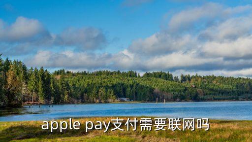 apple pay支付需要聯(lián)網(wǎng)嗎