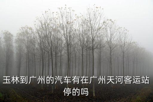 玉林到廣州的汽車有在廣州天河客運站停的嗎