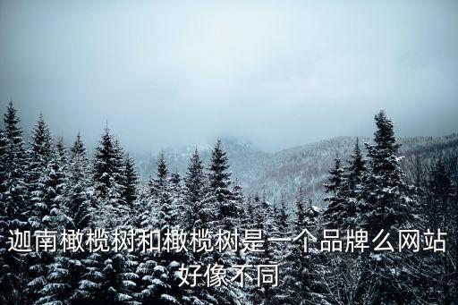 迦南橄欖樹家具廣州，迦南橄欖樹家具