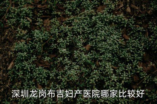 深圳龍崗布吉婦產(chǎn)醫(yī)院哪家比較好