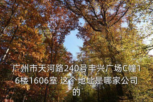 廣州市天河路240號豐興廣場C幢16樓1606室 這個地址是哪家公司的