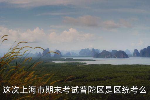 這次上海市期末考試普陀區是區統考么