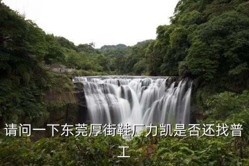 東莞力凱鞋廠老板，力凱在東莞哪兒