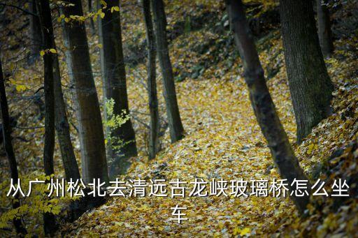 廣州到古龍峽汽車，從廣州番禺到清遠古龍峽自駕車怎么走啊
