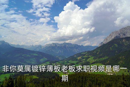 富二代求職非你莫屬深圳好幾套房視頻，非你莫屬鍍鋅薄板老板求職視頻是哪一期