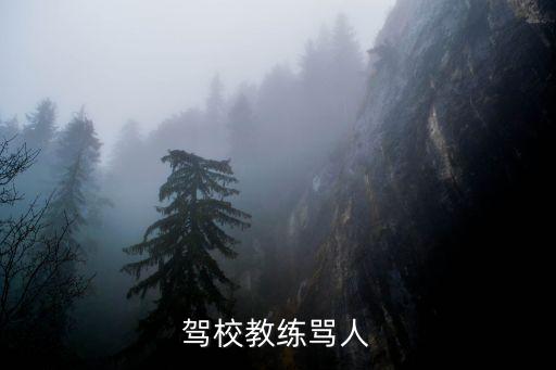 駕校教練罵人