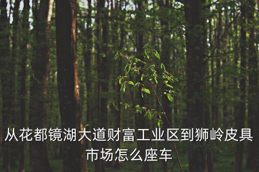 從花都鏡湖大道財富工業(yè)區(qū)到獅嶺皮具市場怎么座車