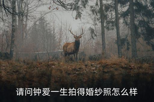 東莞鐘愛一生婚紗照，鐘愛一生婚紗攝影 常平店怎么樣