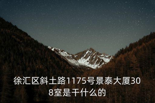 徐匯區斜土路1175號景泰大廈308室是干什么的