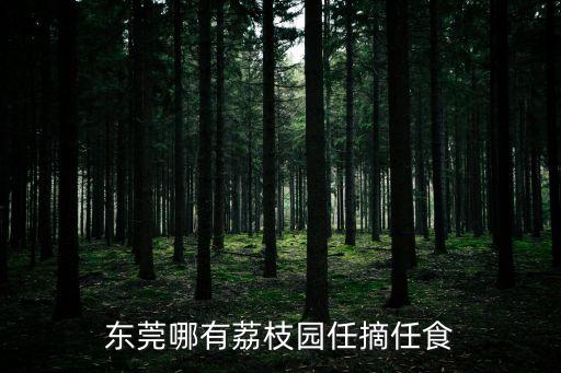 東莞哪有荔枝園任摘任食