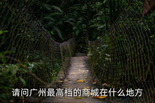廣州嶺南新世界最高檔，請問廣州最高檔的商城在什么地方