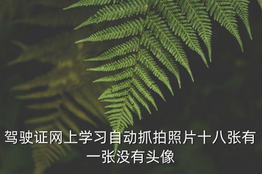 駕駛證網上學習自動抓拍照片十八張有一張沒有頭像