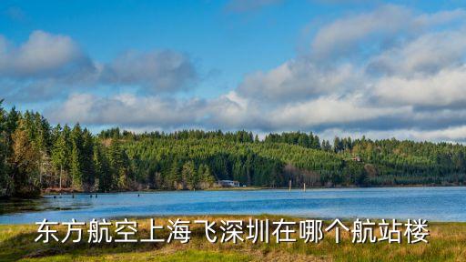 東航在深圳機場幾號門，東海航空在深圳寶安國際機場幾號門