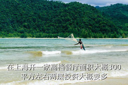 在上海開(kāi)一家高檔餐廳面積大概300平方左右兩層投資大概要多
